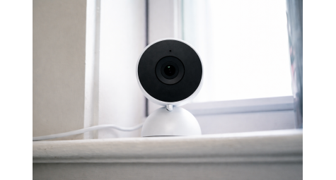 Gemini for Home: Google покращила розпізнавання облич і тварин